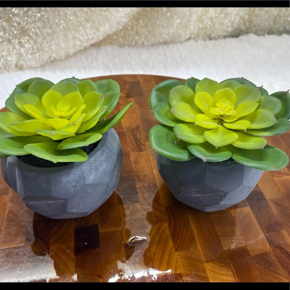 Faux Succulent, in 3”H circular pot (2 available for individual purchase) - Picture 10 of 11